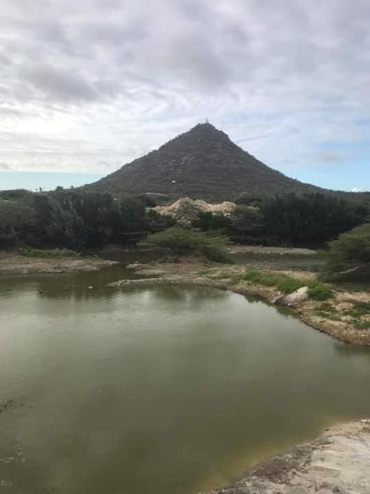 Aruba Backpackers Διαμέρισμα Οράνχεσταντ Εξωτερικό φωτογραφία