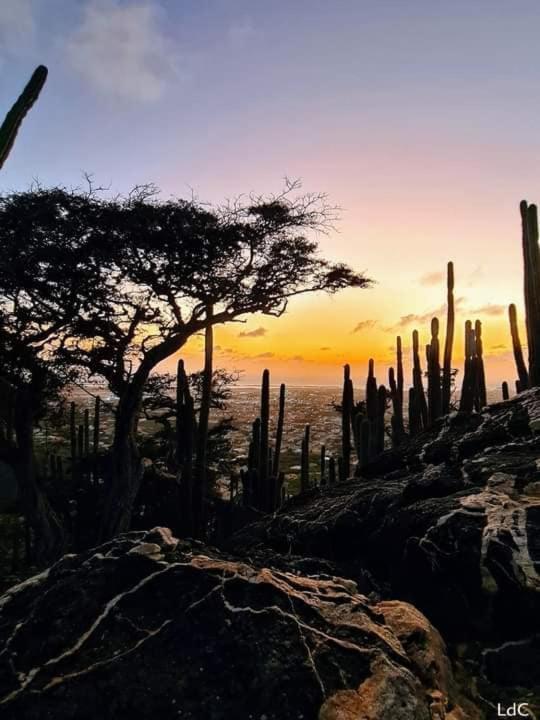 Aruba Backpackers Διαμέρισμα Οράνχεσταντ Εξωτερικό φωτογραφία