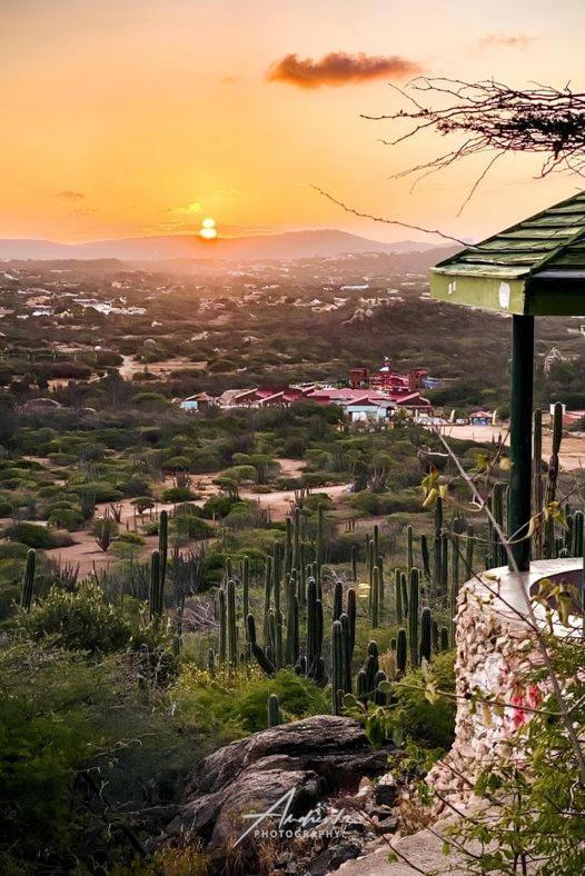 Aruba Backpackers Διαμέρισμα Οράνχεσταντ Εξωτερικό φωτογραφία
