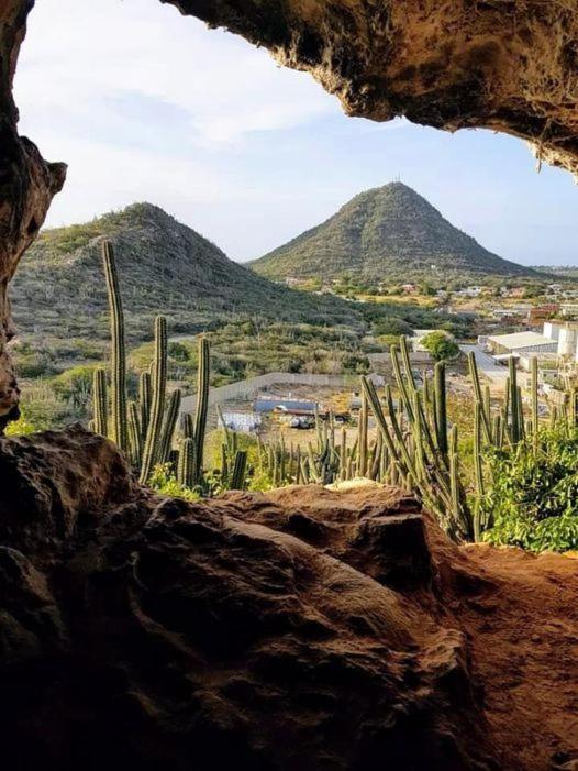 Aruba Backpackers Διαμέρισμα Οράνχεσταντ Εξωτερικό φωτογραφία