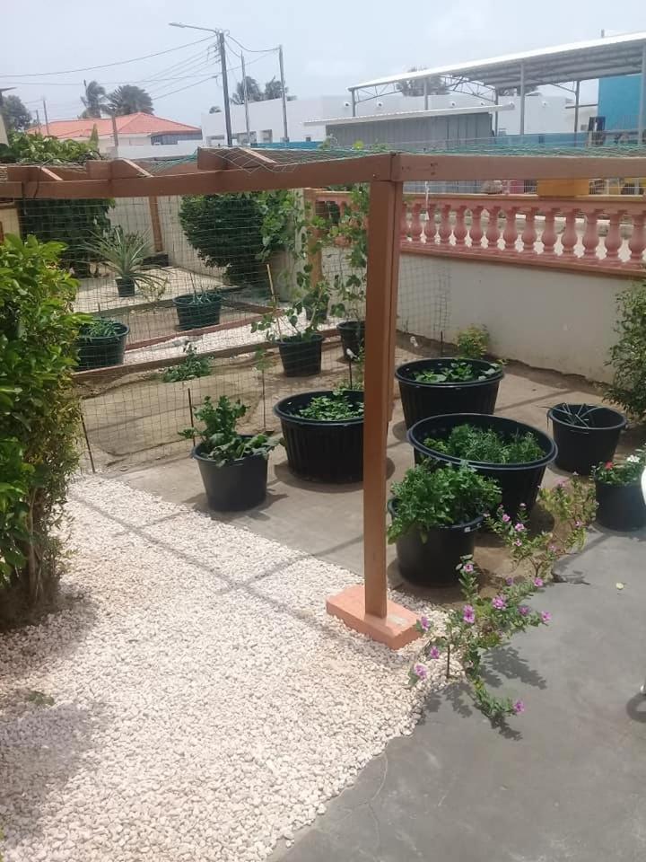 Aruba Backpackers Διαμέρισμα Οράνχεσταντ Εξωτερικό φωτογραφία