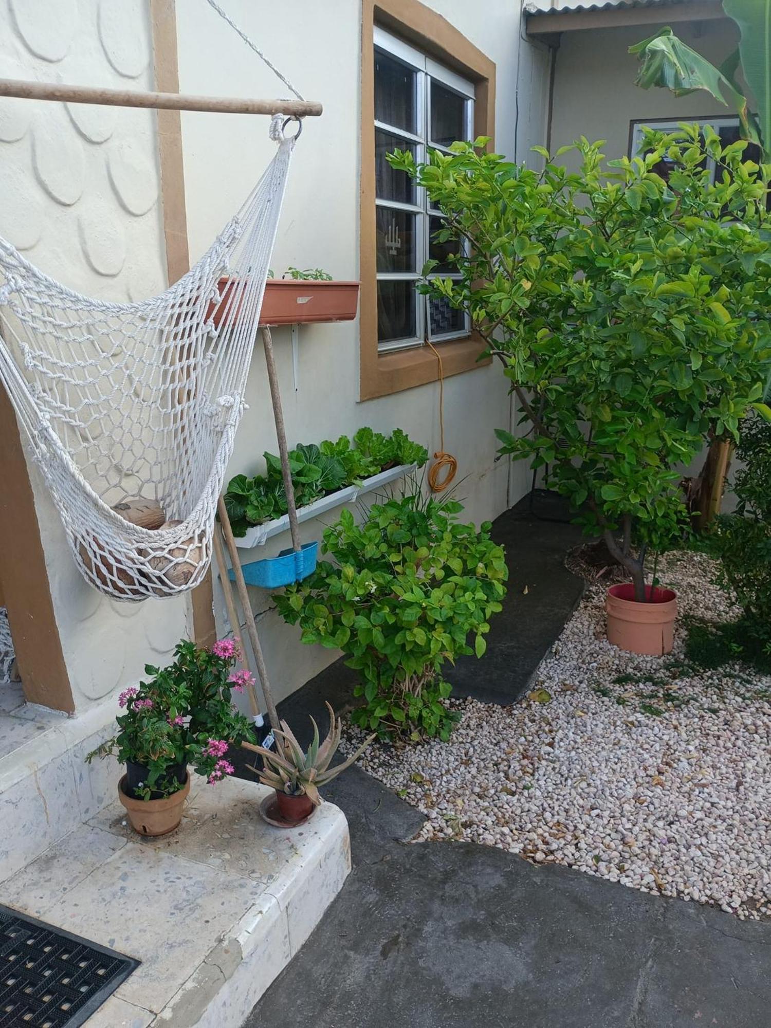 Aruba Backpackers Διαμέρισμα Οράνχεσταντ Εξωτερικό φωτογραφία